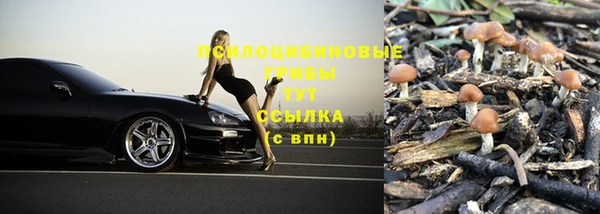 соль ск Алзамай
