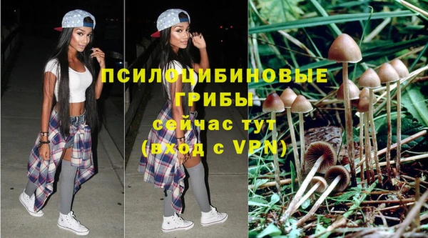 трава Абинск