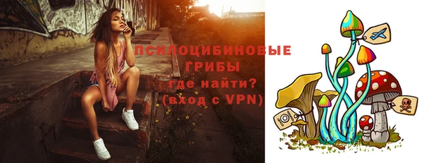 соль ск Алзамай