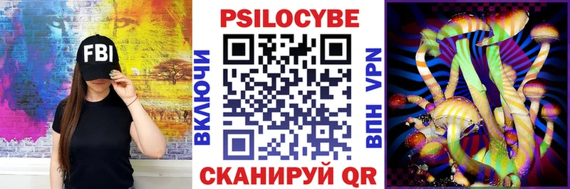 купить   Туринск  Псилоцибиновые грибы Psilocybe 